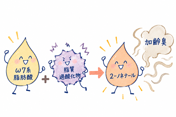 加齢臭の原因